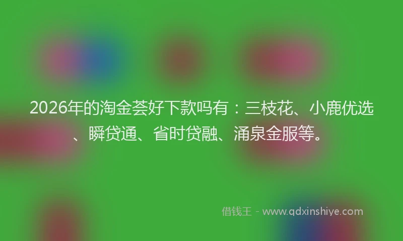 2026年的淘金荟好下款吗有：三枝花、小鹿优选、瞬贷通、省时贷融、涌泉金服等。