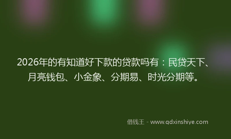 2026年的有知道好下款的贷款吗有：民贷天下、月亮钱包、小金象、分期易、时光分期等。