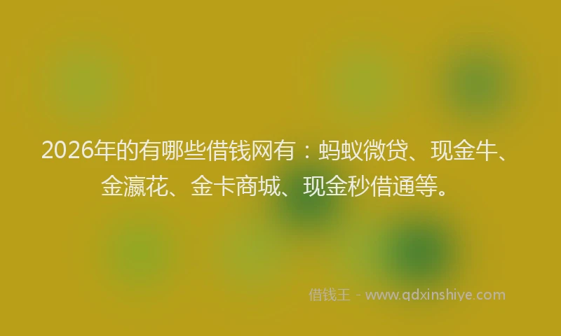 2026年的有哪些借钱网有：蚂蚁微贷、现金牛、金瀛花、金卡商城、现金秒借通等。