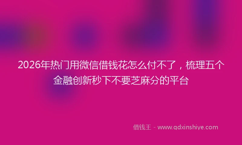 2026年热门用微信借钱花怎么付不了，梳理五个金融创新秒下不要芝麻分的平台