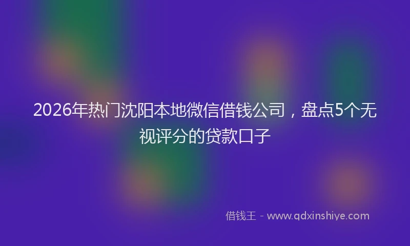 2026年热门沈阳本地微信借钱公司,盘点5个无视评分的贷款口子