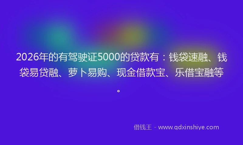 2026年的有驾驶证5000的贷款有：钱袋速融、钱袋易贷融、萝卜易购、现金借款宝、乐借宝融等。