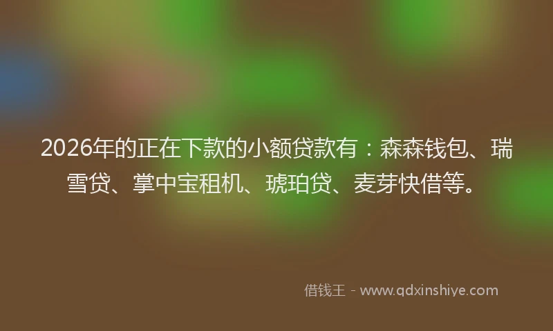 2026年的正在下款的小额贷款有:森森钱包、瑞雪贷、掌中宝租机、琥珀贷、麦芽快借等。