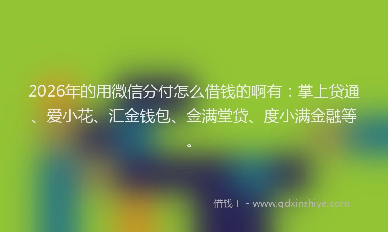 2026年的用微信分付怎么借钱的啊有：掌上贷通、爱小花、汇金钱包、金满堂贷、度小满金融等。