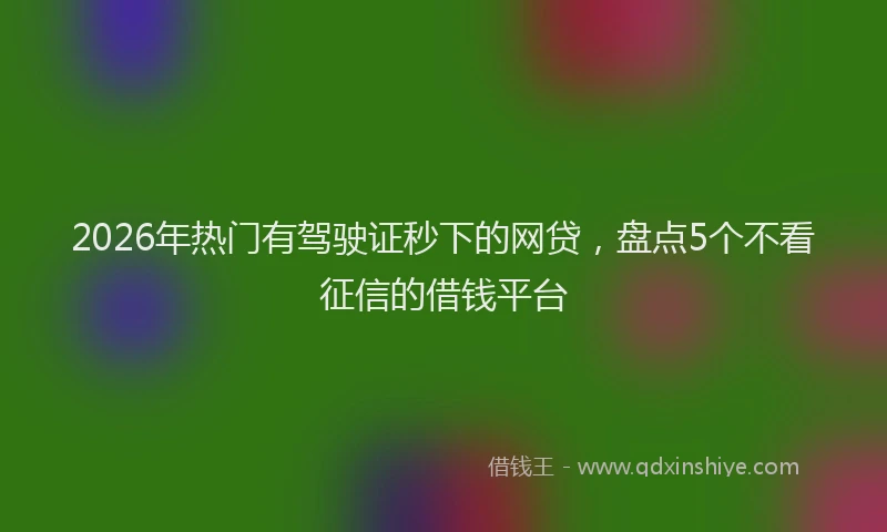 2026年热门有驾驶证秒下的网贷，盘点5个不看征信的借钱平台