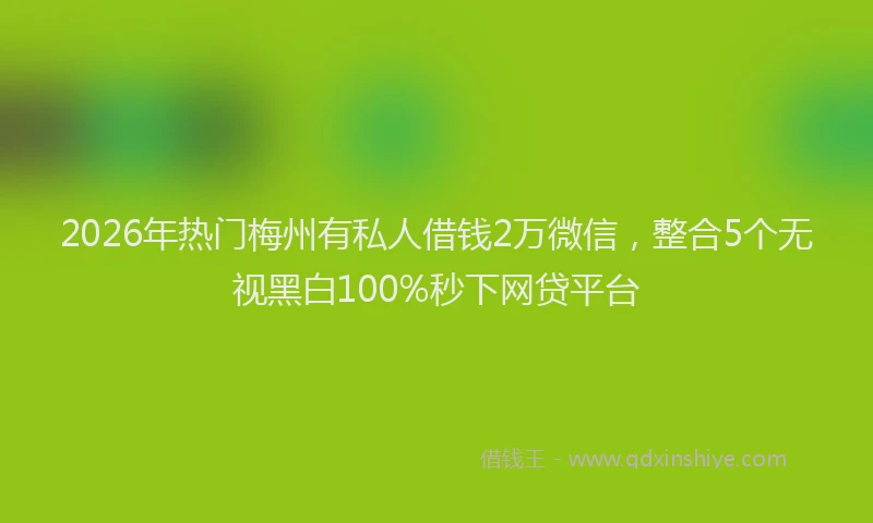 2026年热门梅州有私人借钱2万微信，整合5个无视黑白100%秒下网贷平台