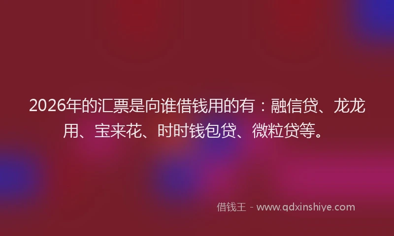 2026年的汇票是向谁借钱用的有：融信贷、龙龙用、宝来花、时时钱包贷、微粒贷等。