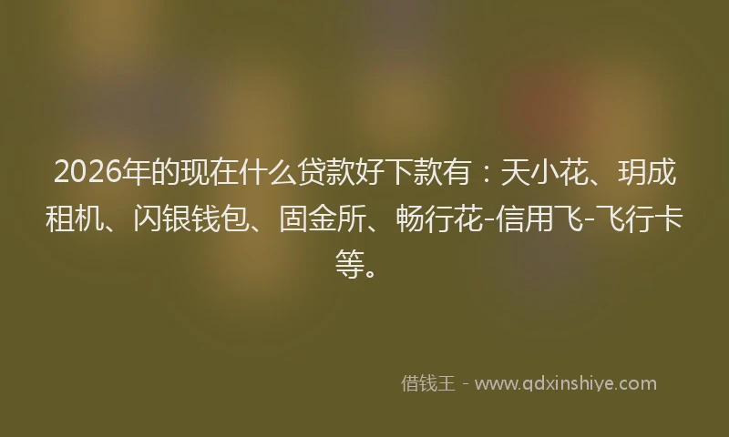 2026年的现在什么贷款好下款有：天小花、玥成租机、闪银钱包、固金所、畅行花-信用飞-飞行卡等。