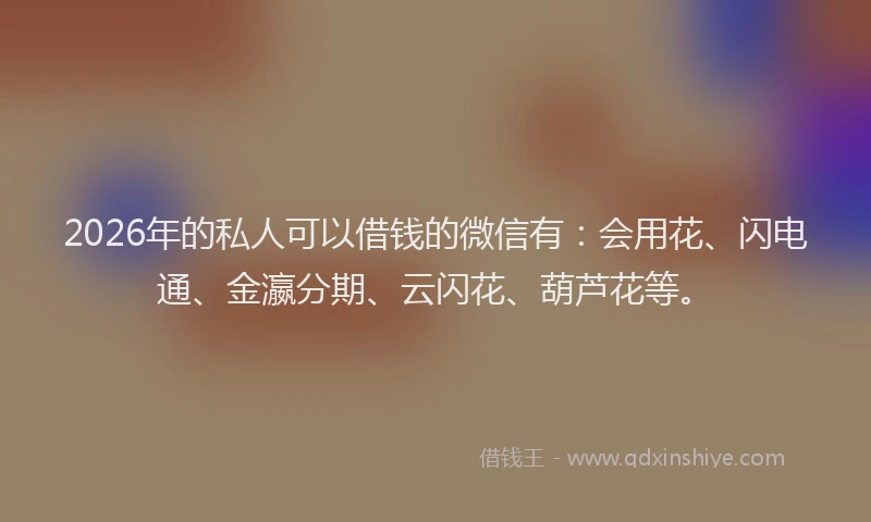 2026年的私人可以借钱的微信有：会用花、闪电通、金瀛分期、云闪花、葫芦花等。