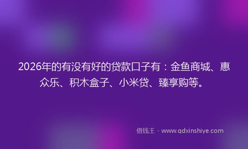 2026年的有没有好的贷款口子有：金鱼商城、惠众乐、积木盒子、小米贷、臻享购等。