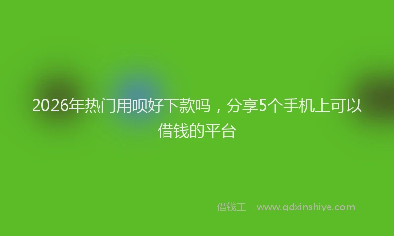 2026年热门用呗好下款吗，分享5个手机上可以借钱的平台