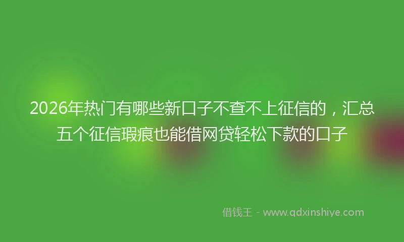 2026年热门有哪些新口子不查不上征信的,汇总五个征信瑕疵也能借网贷轻松下款的口子