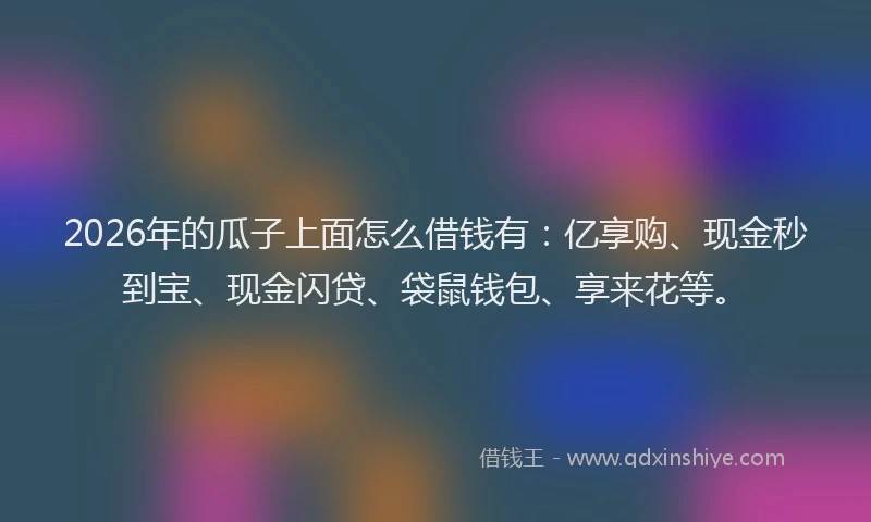 2026年的瓜子上面怎么借钱有：亿享购、现金秒到宝、现金闪贷、袋鼠钱包、享来花等。