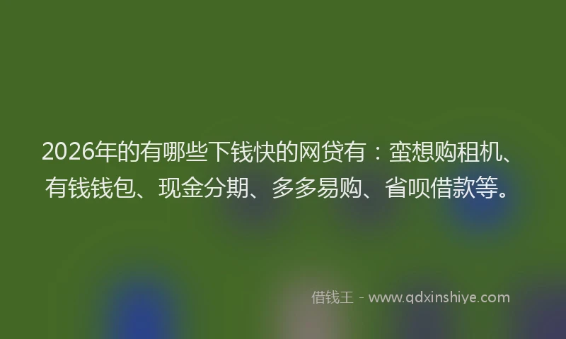2026年的有哪些下钱快的网贷有：蛮想购租机、有钱钱包、现金分期、多多易购、省呗借款等。