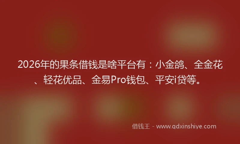 2026年的果条借钱是啥平台有：小金鸽、全金花、轻花优品、金易Pro钱包、平安i贷等。