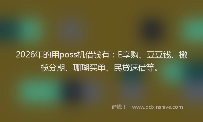 2026年的用poss机借钱有：E享购、豆豆钱、橄榄分期、珊瑚买单、民贷速借等。