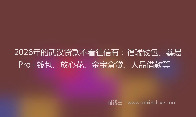 2026年的武汉贷款不看征信有：福瑞钱包、鑫易Pro+钱包、放心花、金宝盒贷、人品借款等。