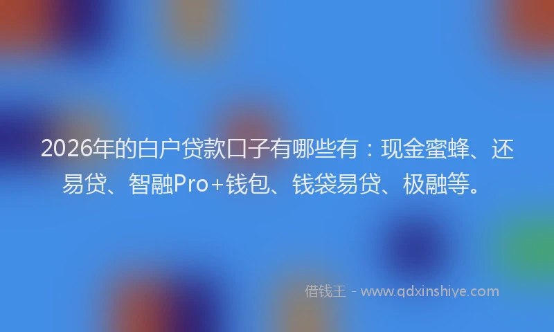 2026年的白户贷款口子有哪些有：现金蜜蜂、还易贷、智融Pro+钱包、钱袋易贷、极融等。