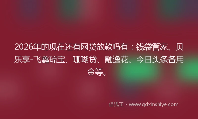 2026年的现在还有网贷放款吗有：钱袋管家、贝乐享-飞鑫琼宝、珊瑚贷、融逸花、今日头条备用金等。