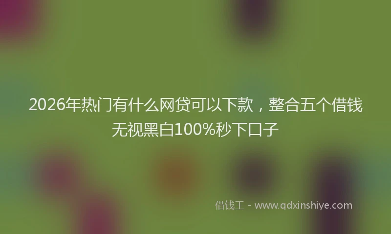2026年热门有什么网贷可以下款，整合五个借钱无视黑白100%秒下口子