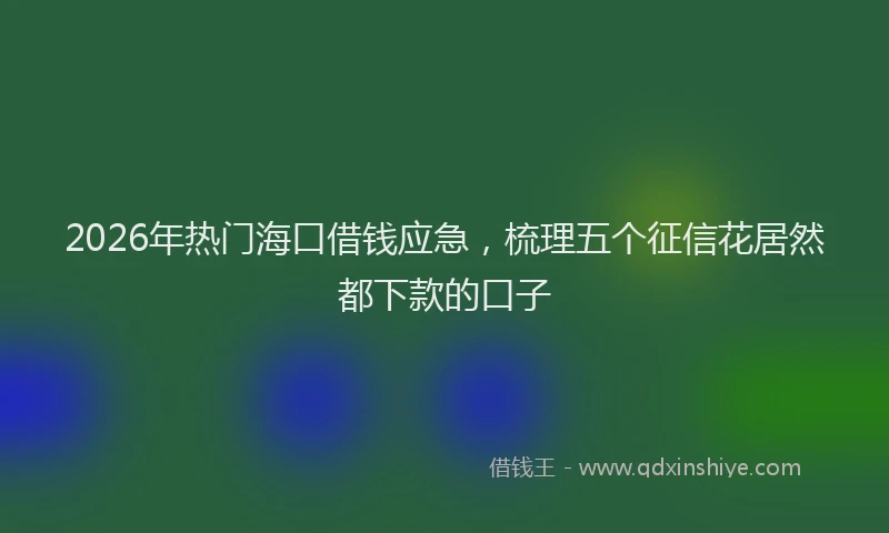 2026年热门海口借钱应急，梳理五个征信花居然都下款的口子