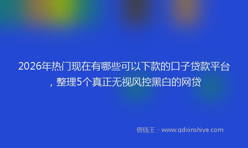 2026年热门现在有哪些可以下款的口子贷款平台，整理5个真正无视风控黑白的网贷