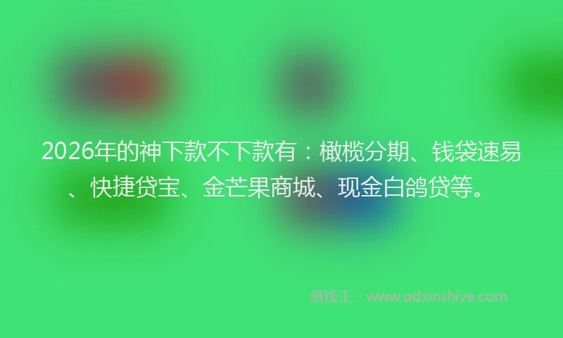 2026年的神下款不下款有：橄榄分期、钱袋速易、快捷贷宝、金芒果商城、现金白鸽贷等。