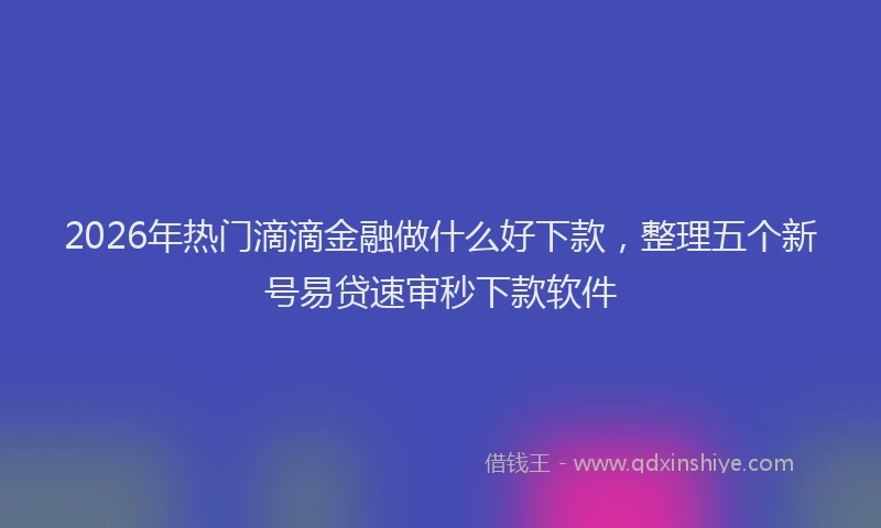 2026年热门滴滴金融做什么好下款，整理五个新号易贷速审秒下款软件