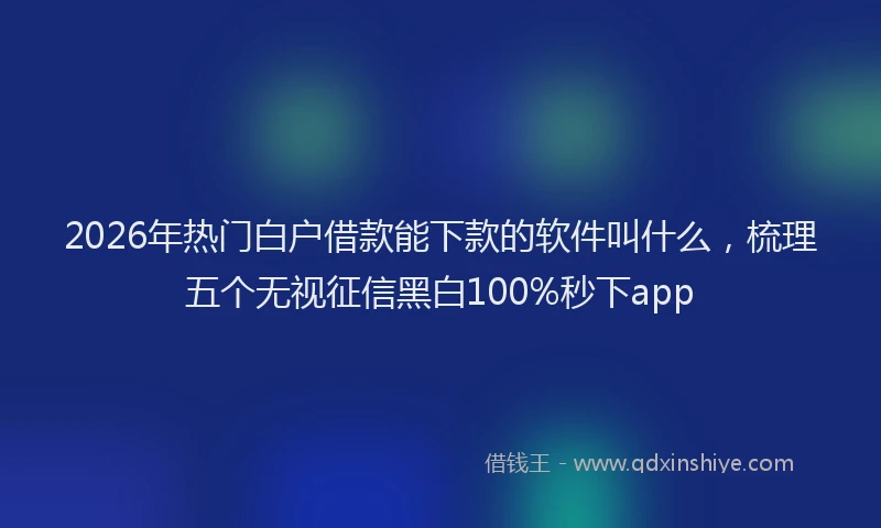 2026年热门白户借款能下款的软件叫什么，梳理五个无视征信黑白100%秒下app