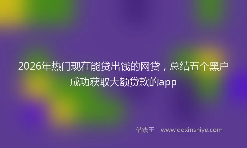 2026年热门现在能贷出钱的网贷,总结五个黑户成功获取大额贷款的app