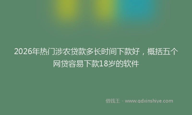 2026年热门涉农贷款多长时间下款好，概括五个网贷容易下款18岁的软件