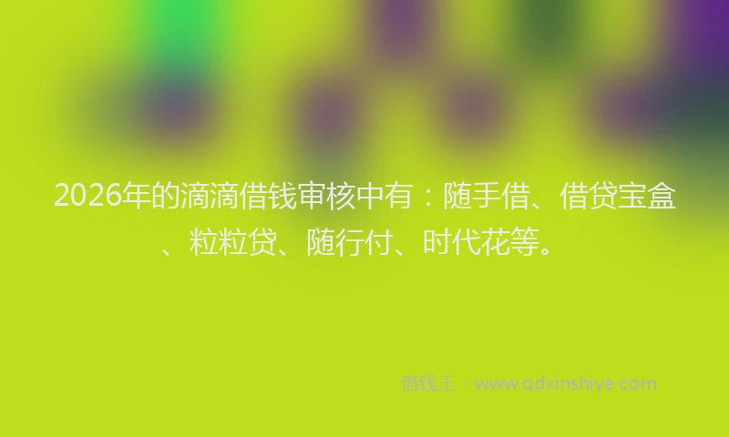 2026年的滴滴借钱审核中有：随手借、借贷宝盒、粒粒贷、随行付、时代花等。
