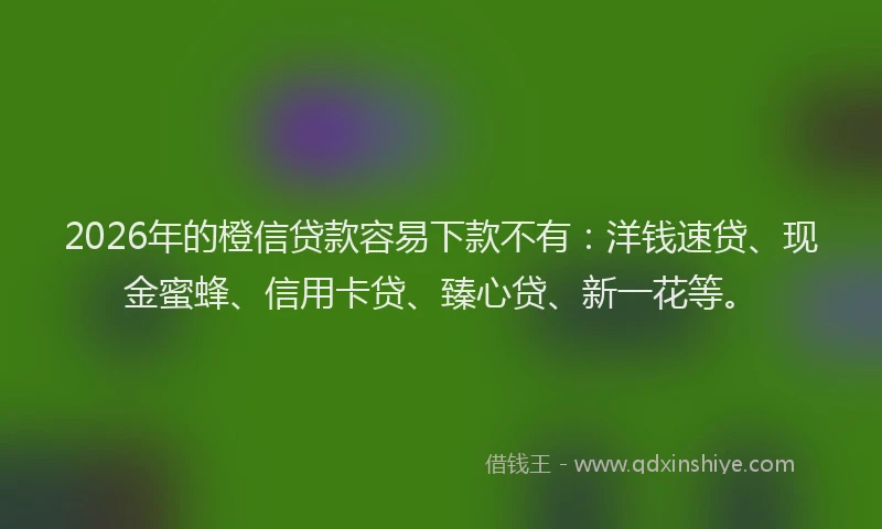 2026年的橙信贷款容易下款不有：洋钱速贷、现金蜜蜂、信用卡贷、臻心贷、新一花等。
