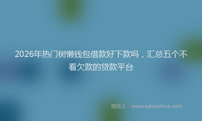 2026年热门树懒钱包借款好下款吗，汇总五个不看欠款的贷款平台