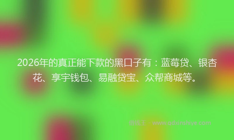2026年的真正能下款的黑口子有：蓝莓贷、银杏花、享宇钱包、易融贷宝、众帮商城等。