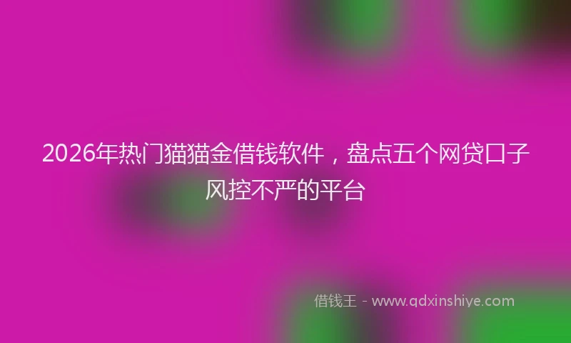 2026年热门猫猫金借钱软件，盘点五个网贷口子风控不严的平台