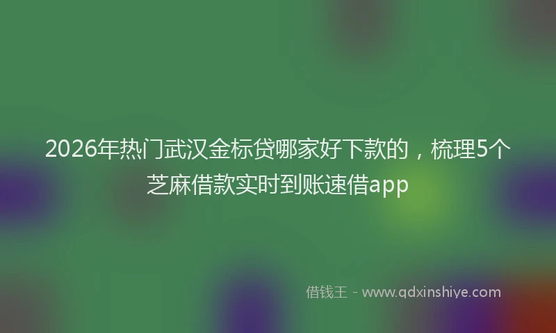 2026年热门武汉金标贷哪家好下款的，梳理5个芝麻借款实时到账速借app