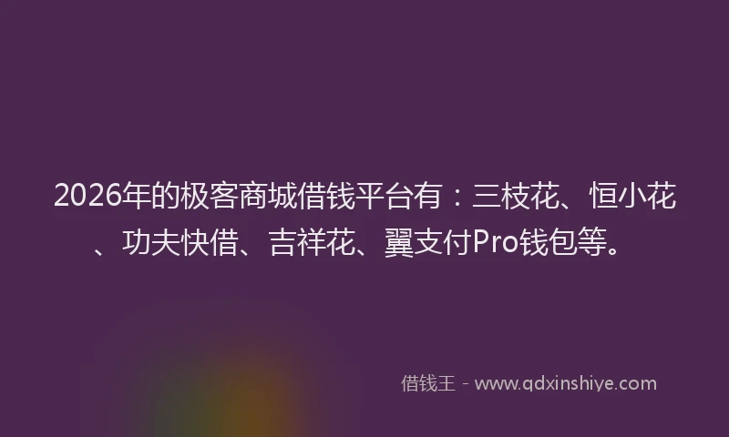 2026年的极客商城借钱平台有:三枝花、恒小花、功夫快借、吉祥花、翼支付Pro钱包等。