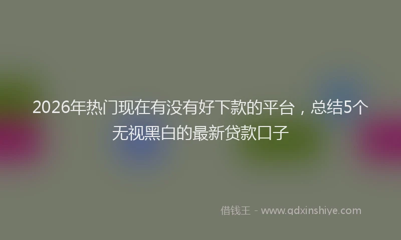 2026年热门现在有没有好下款的平台，总结5个无视黑白的最新贷款口子