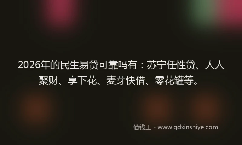 2026年的民生易贷可靠吗有：苏宁任性贷、人人聚财、享下花、麦芽快借、零花罐等。