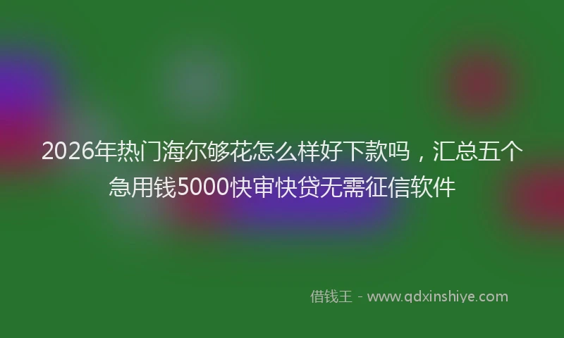 2026年热门海尔够花怎么样好下款吗，汇总五个急用钱5000快审快贷无需征信软件