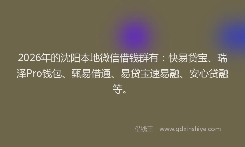 2026年的沈阳本地微信借钱群有：快易贷宝、瑞泽Pro钱包、甄易借通、易贷宝速易融、安心贷融等。