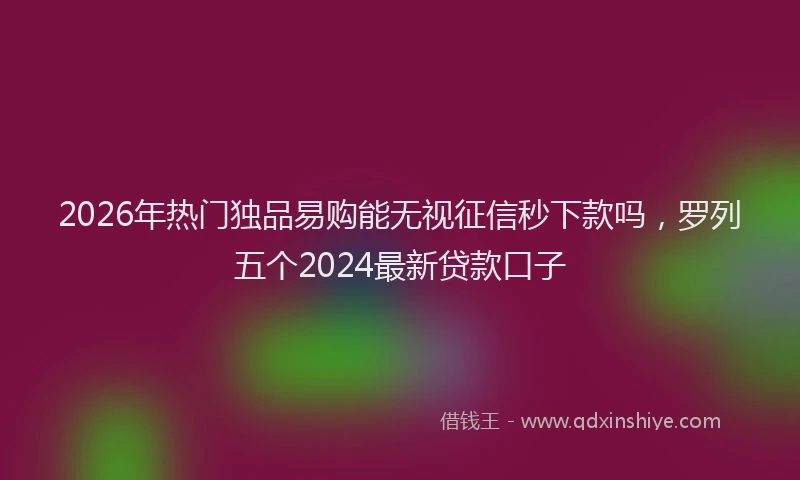 2026年热门独品易购能无视征信秒下款吗，罗列五个2024最新贷款口子