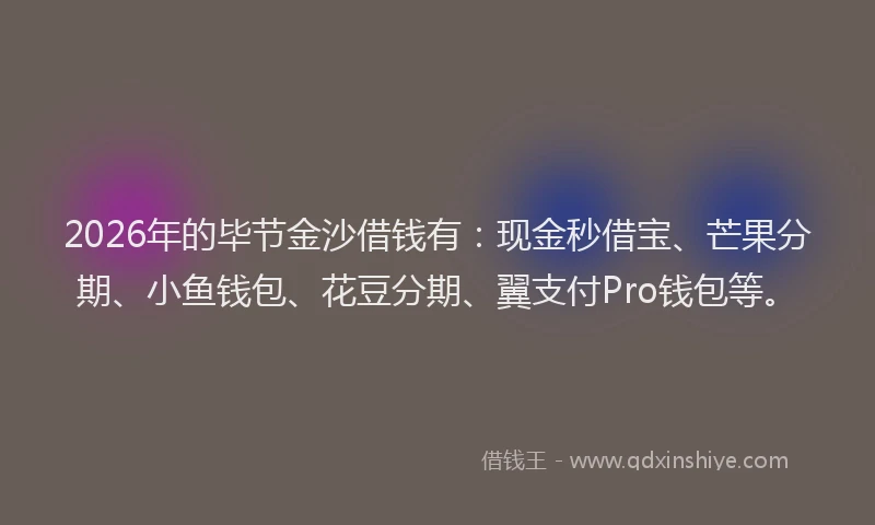 2026年的毕节金沙借钱有：现金秒借宝、芒果分期、小鱼钱包、花豆分期、翼支付Pro钱包等。