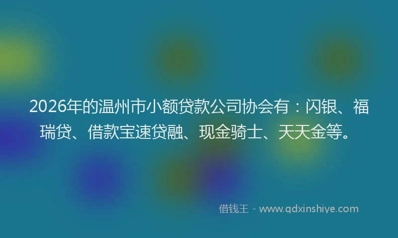 2026年的温州市小额贷款公司协会有：闪银、福瑞贷、借款宝速贷融、现金骑士、天天金等。