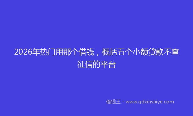 2026年热门用那个借钱，概括五个小额贷款不查征信的平台