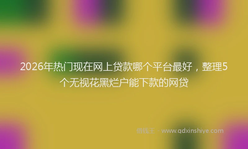 2026年热门现在网上贷款哪个平台最好，整理5个无视花黑烂户能下款的网贷