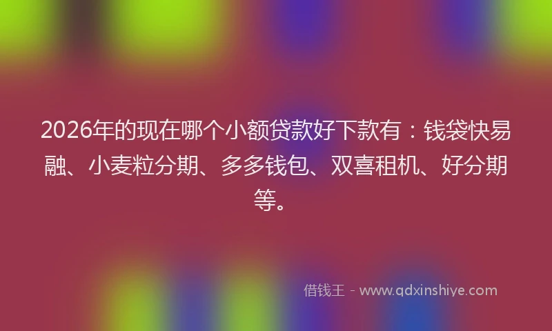 2026年的现在哪个小额贷款好下款有：钱袋快易融、小麦粒分期、多多钱包、双喜租机、好分期等。