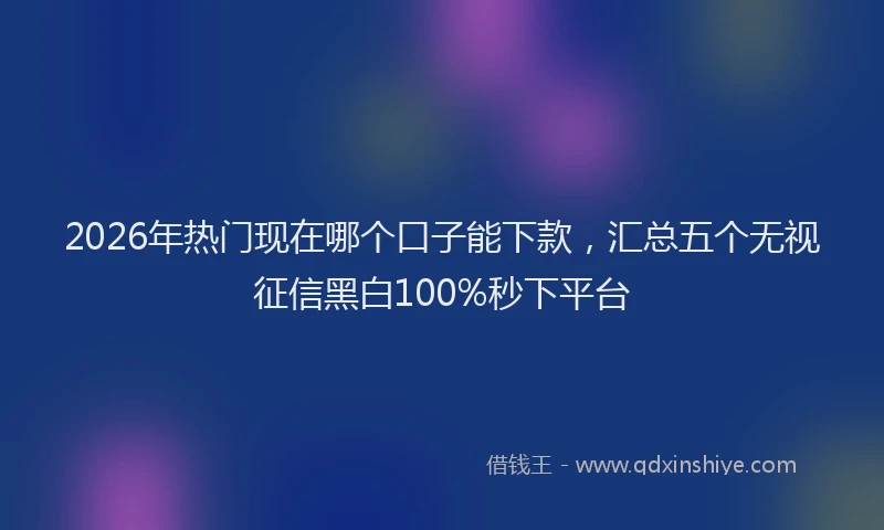 2026年热门现在哪个口子能下款，汇总五个无视征信黑白100%秒下平台