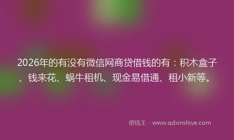 2026年的有没有微信网商贷借钱的有：积木盒子、钱来花、蜗牛租机、现金易借通、租小新等。